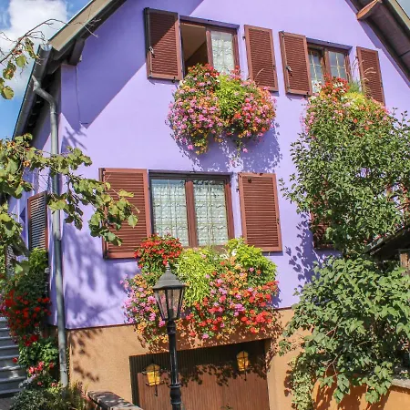 Lägenhet Jaune Et Rose-2 By Interhome Marckolsheim
