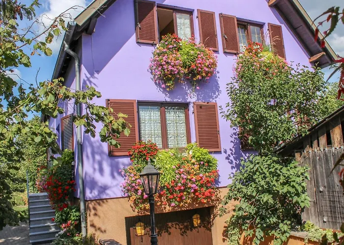 Apartman Apartment Residence Jaune Et Rose-2 By Interhome Marckolsheim